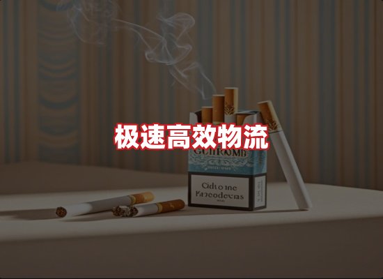 专业团队